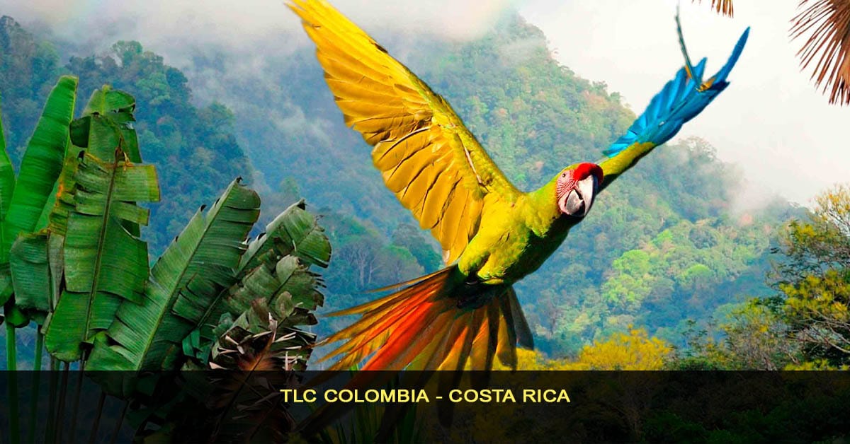TLC Colombia - Costa rica