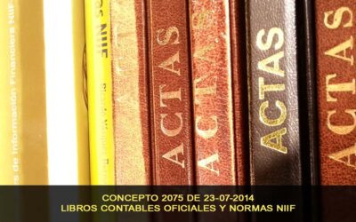 Libros contables oficiales y Normas NIIF, Concepto 2075