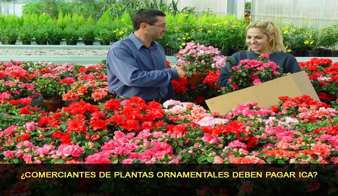 ¿Comerciantes de plantas ornamentales deben pagar ICA?