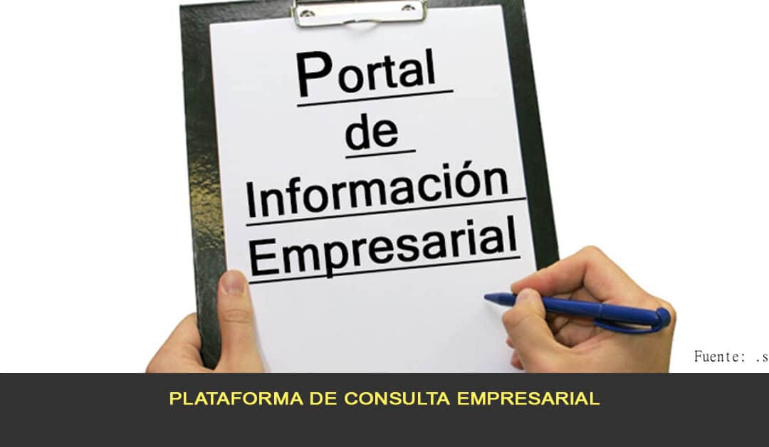 Plataforma de consulta empresarial