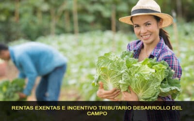 Rentas exentas e incentivo tributario desarrollo del campo