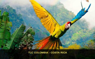 TLC Colombia – Costa rica