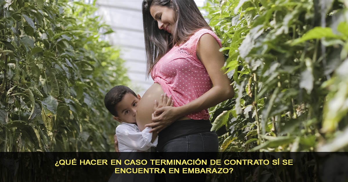 ¿Qué hacer en caso terminación de contrato sí se encuentra en embarazo?