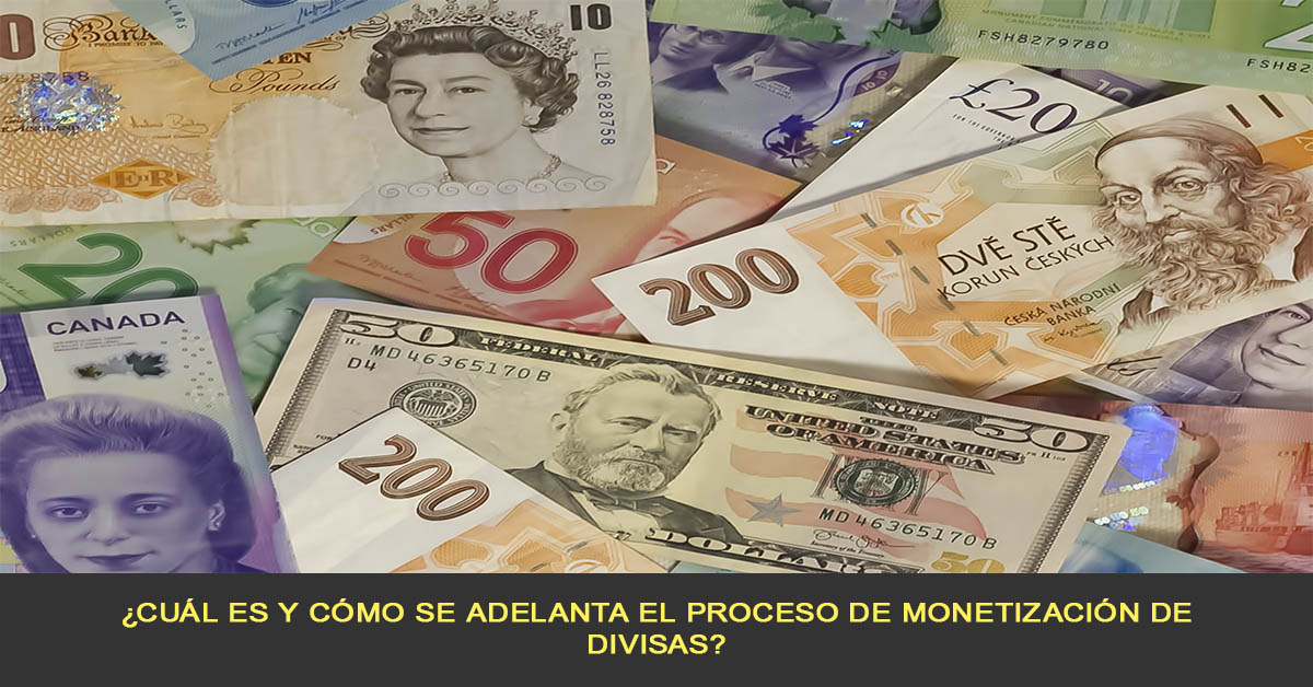 Cuál es y cómo se adelanta el proceso de monetización de divisas