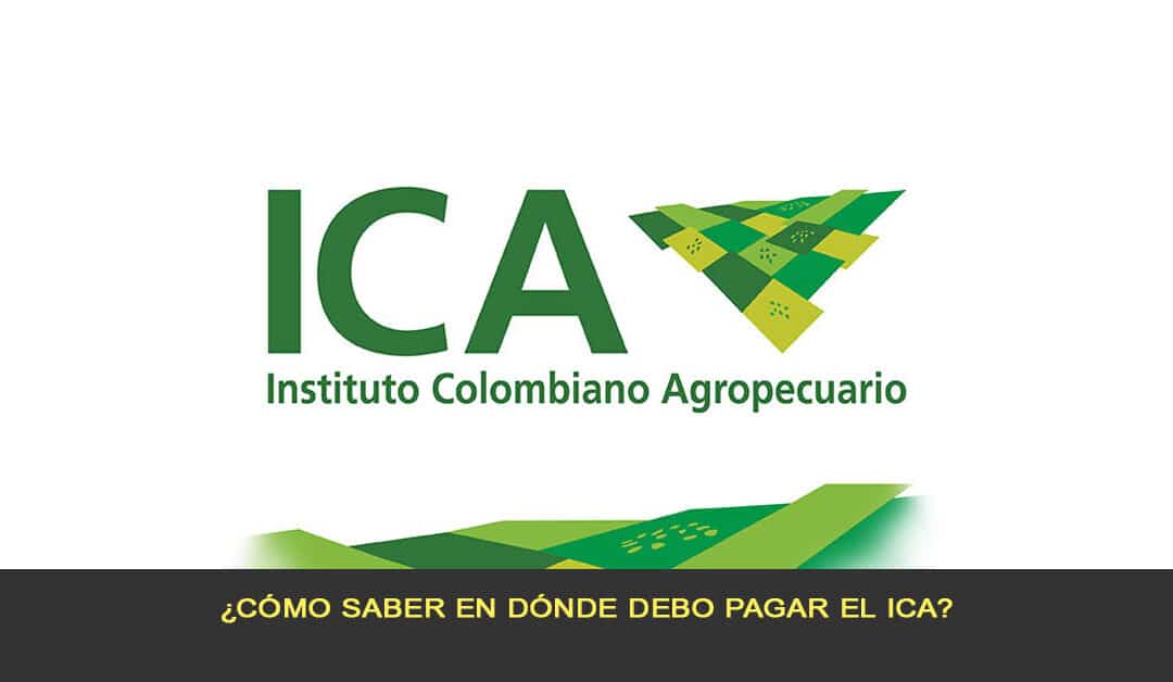 ¿Cómo saber en dónde debo pagar el ICA?