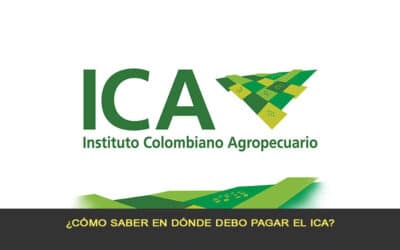 ¿Cómo saber en dónde debo pagar el ICA?