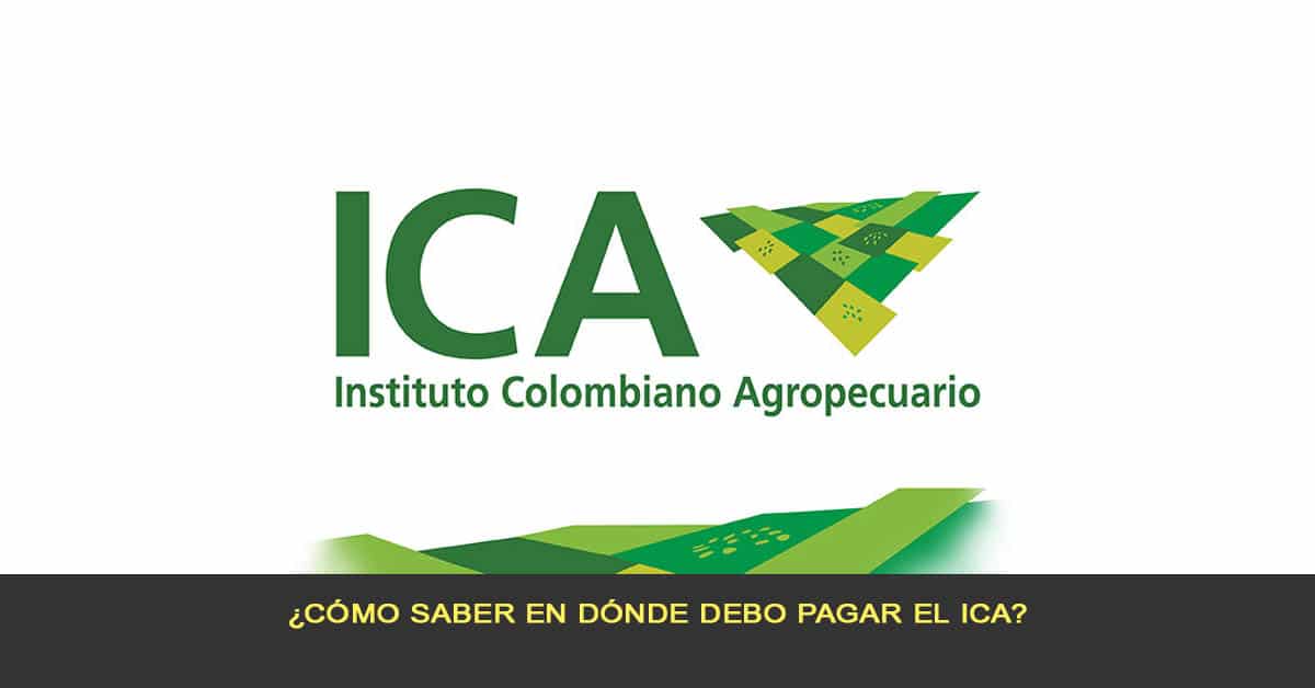 ¿Cómo saber en dónde debo pagar el ICA?