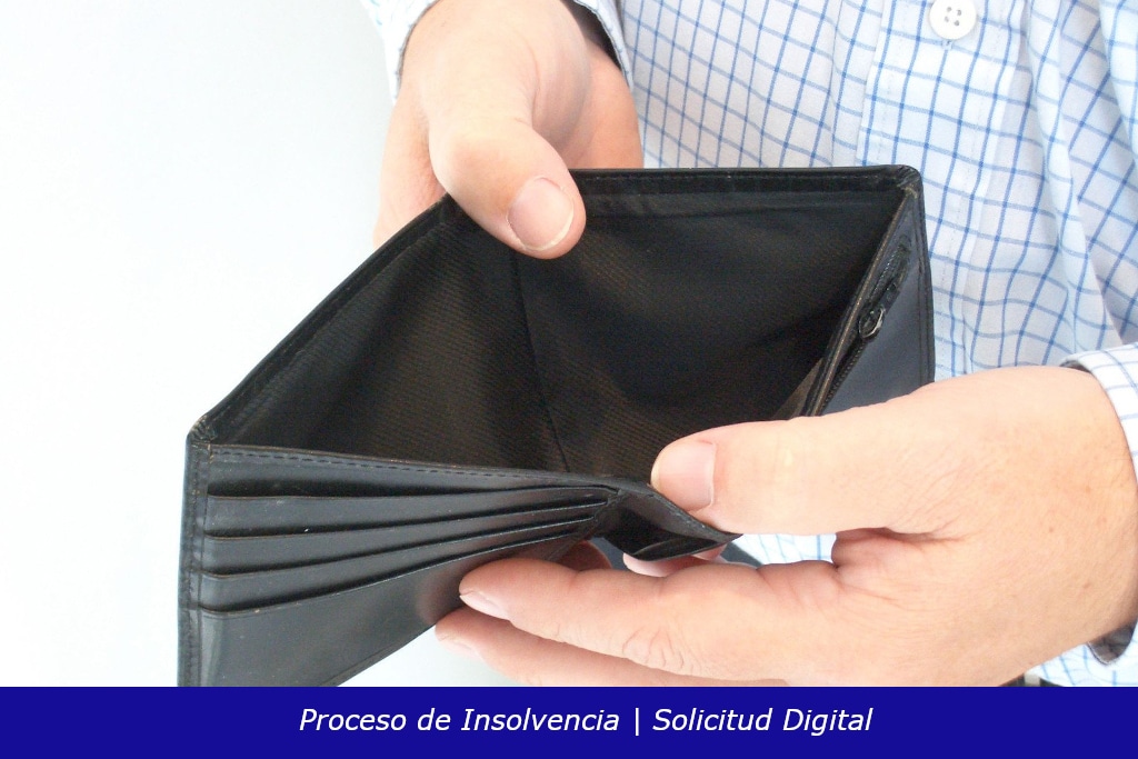 Asesoria Proceso de Insolvencia