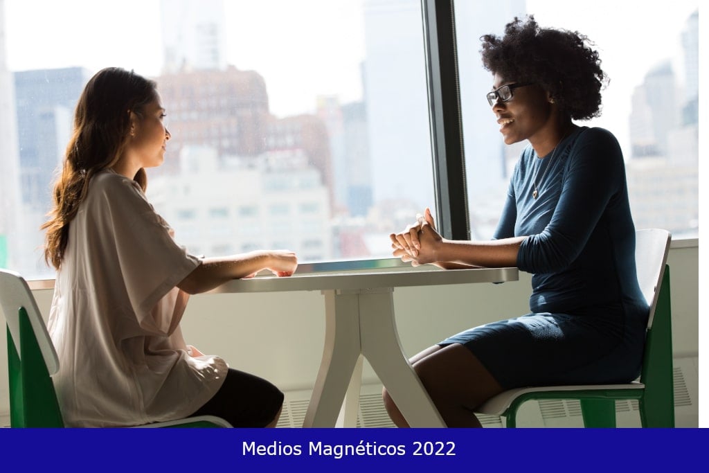 Medios Magneticos 2022