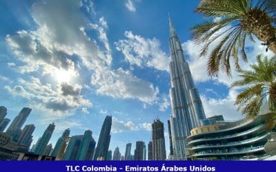 TLC Emiratos Árabes Unidos y Colombia