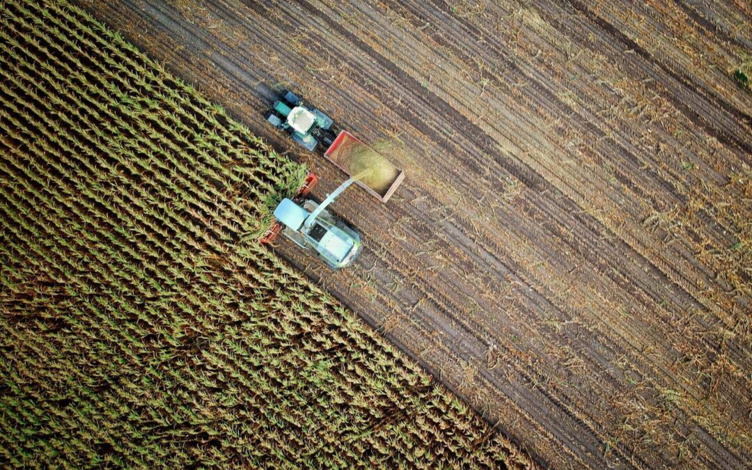 IVA servicio consultoría agrícola. ¿los contratos de consultoría para la prestación de servicios en materia agrícola, están gravados con el impuesto sobre las ventas? -IVA. OFICIO DIAN N°974