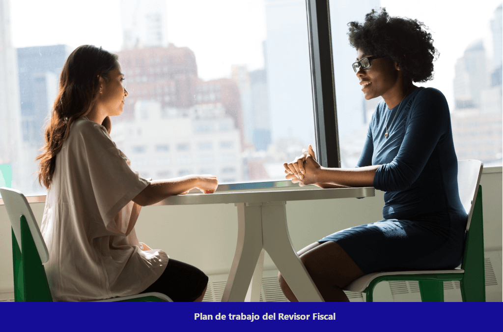 Plan de trabajo del revisor fiscal