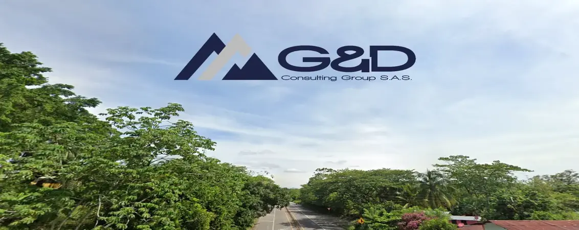 97 El Precio De Los Inmuebles Debe Informarse En Pesos Colombianos Y No En SMLMV