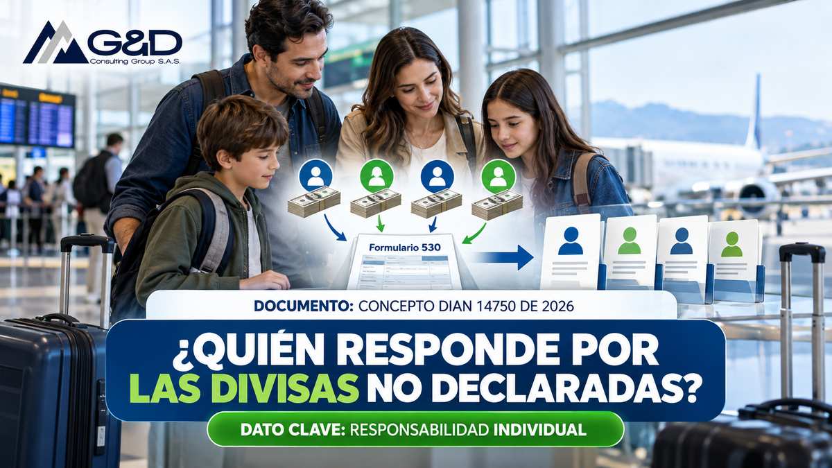 responsabilidad-individual-divisas-grupo-familiar-dian-14750 Responsabilidad Individual Divisas Grupo Familiar Dian 14750 1